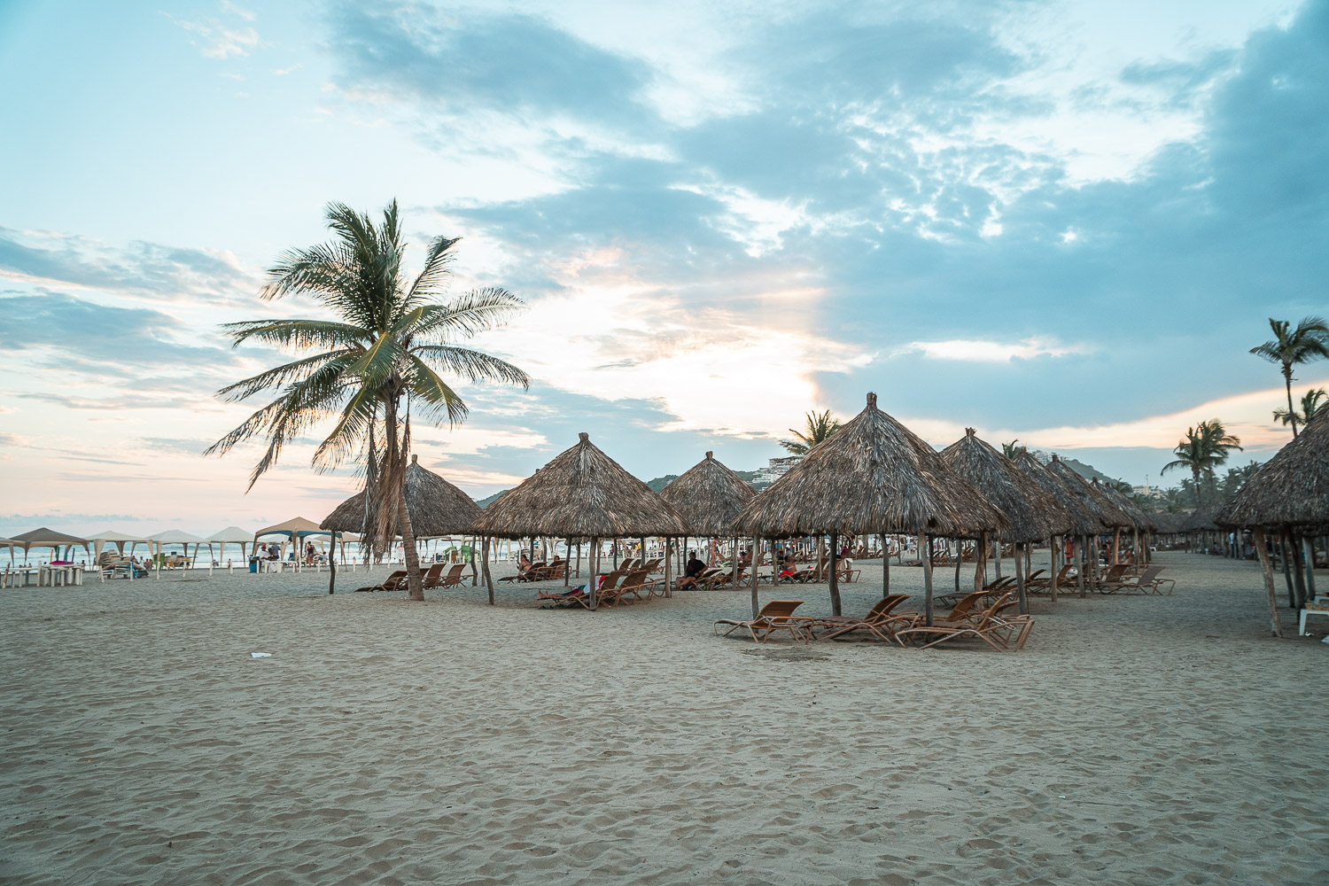 Fotografía para FEMEG