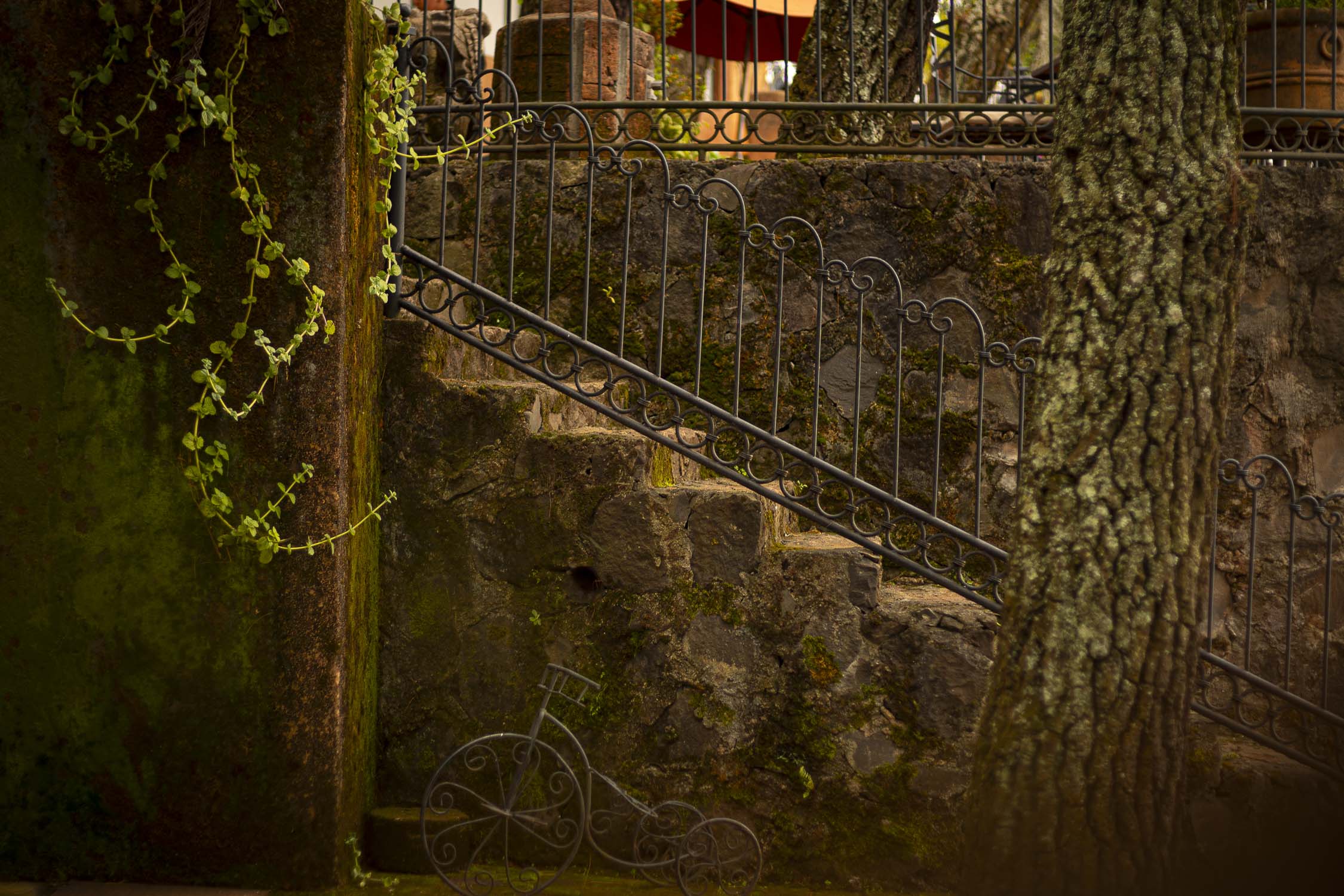 Turinjandi Sesión 1