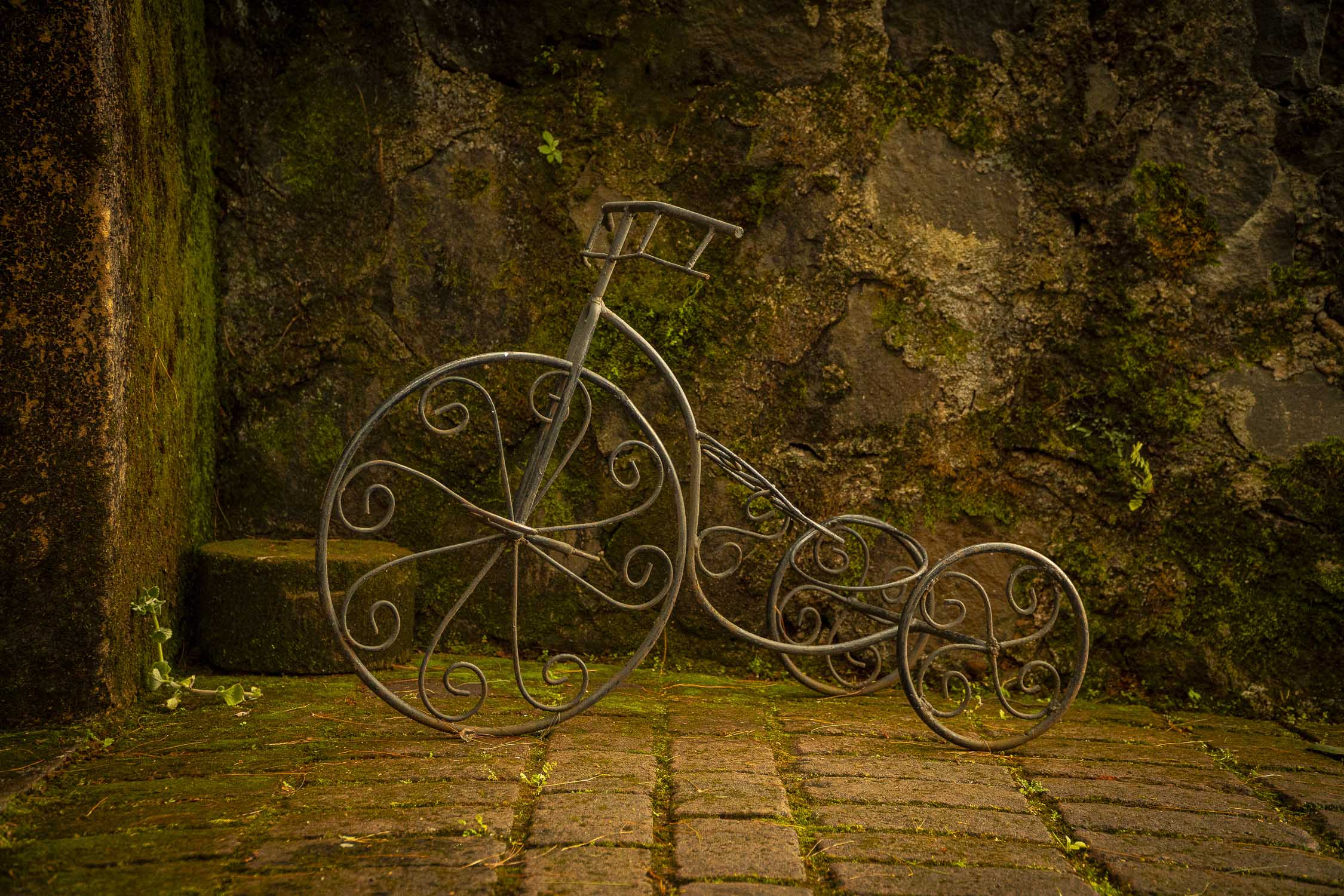 Turinjandi Sesión 1