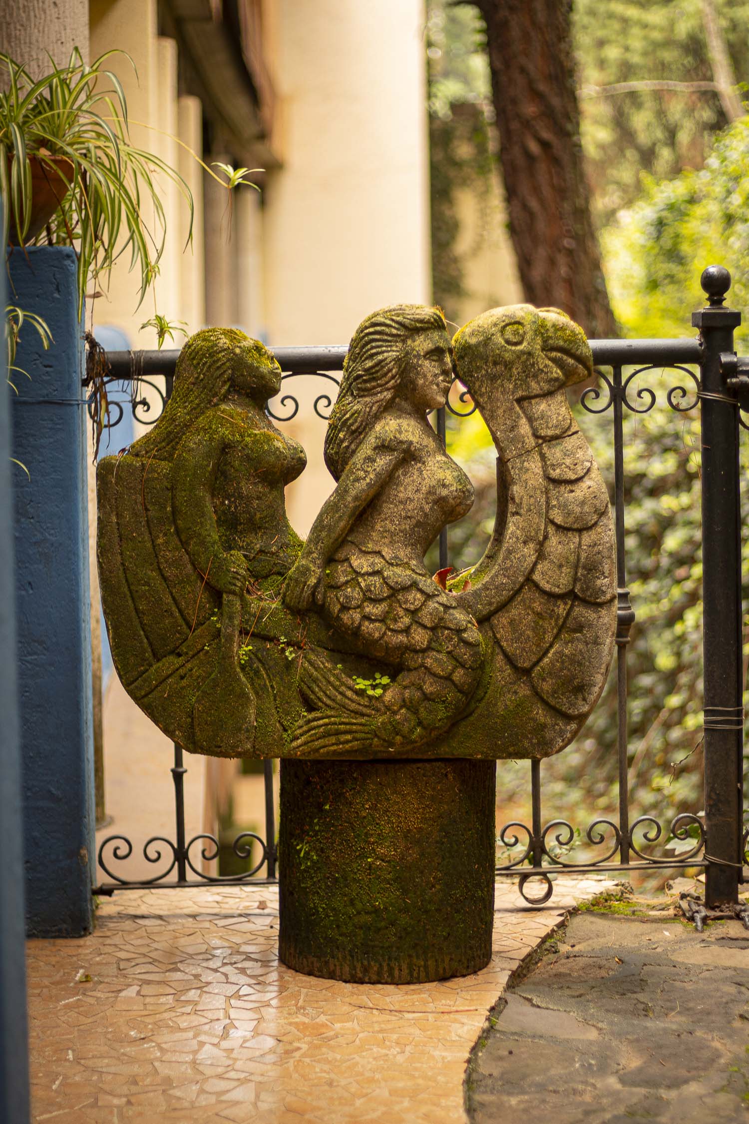 Turinjandi Sesión 1