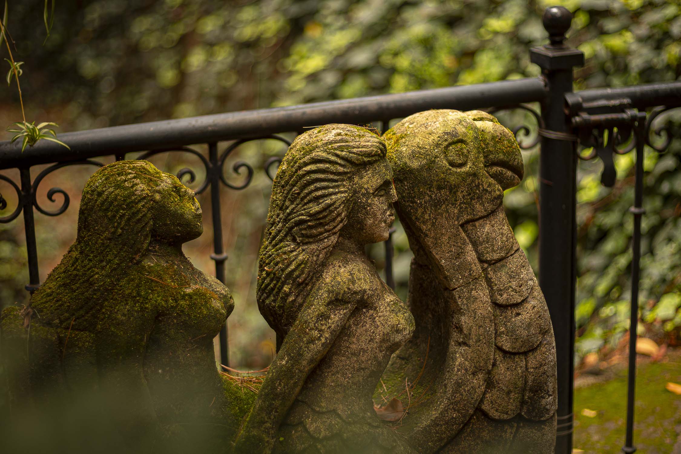 Turinjandi Sesión 1