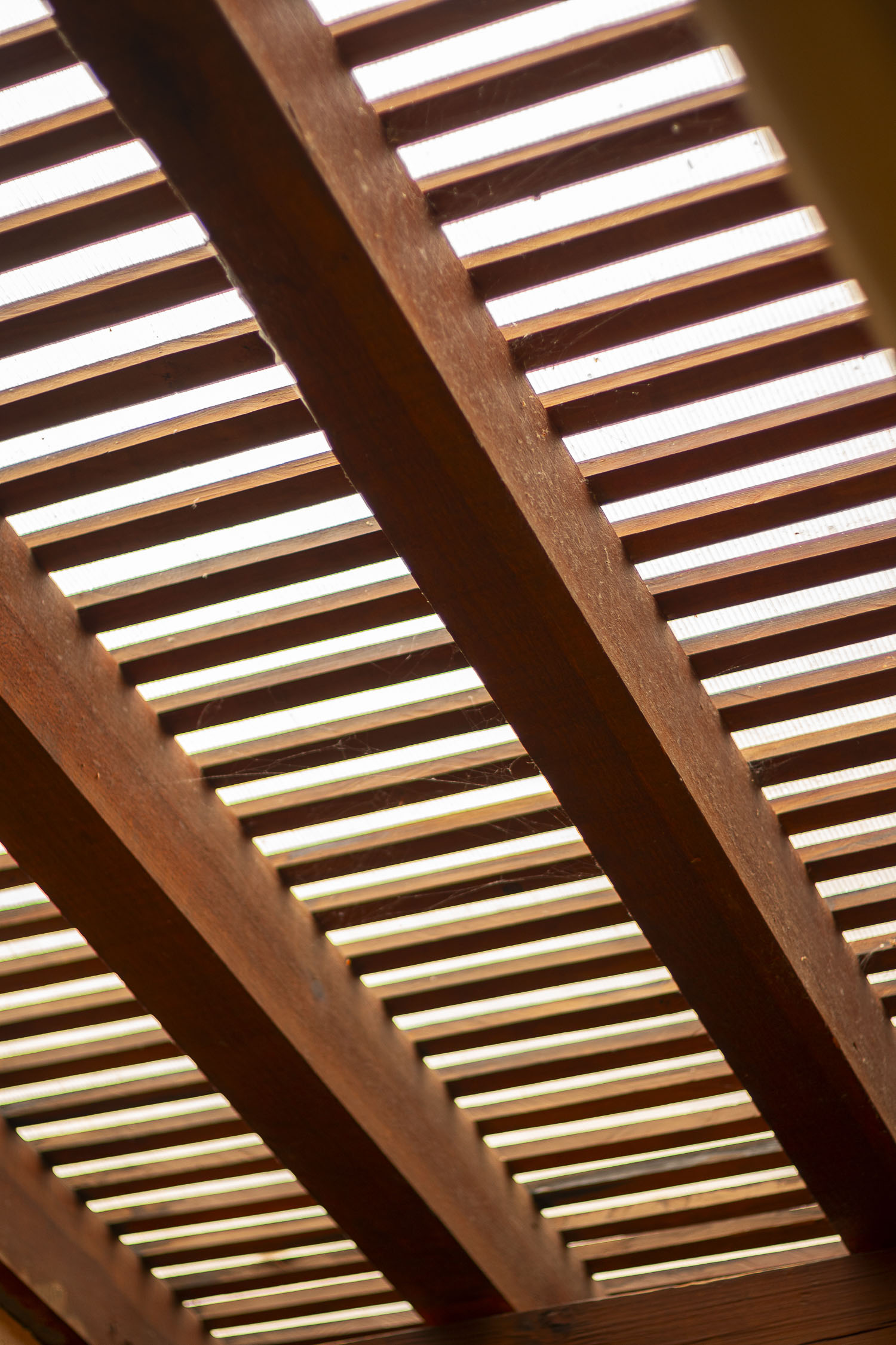 Turinjandi Sesión 1