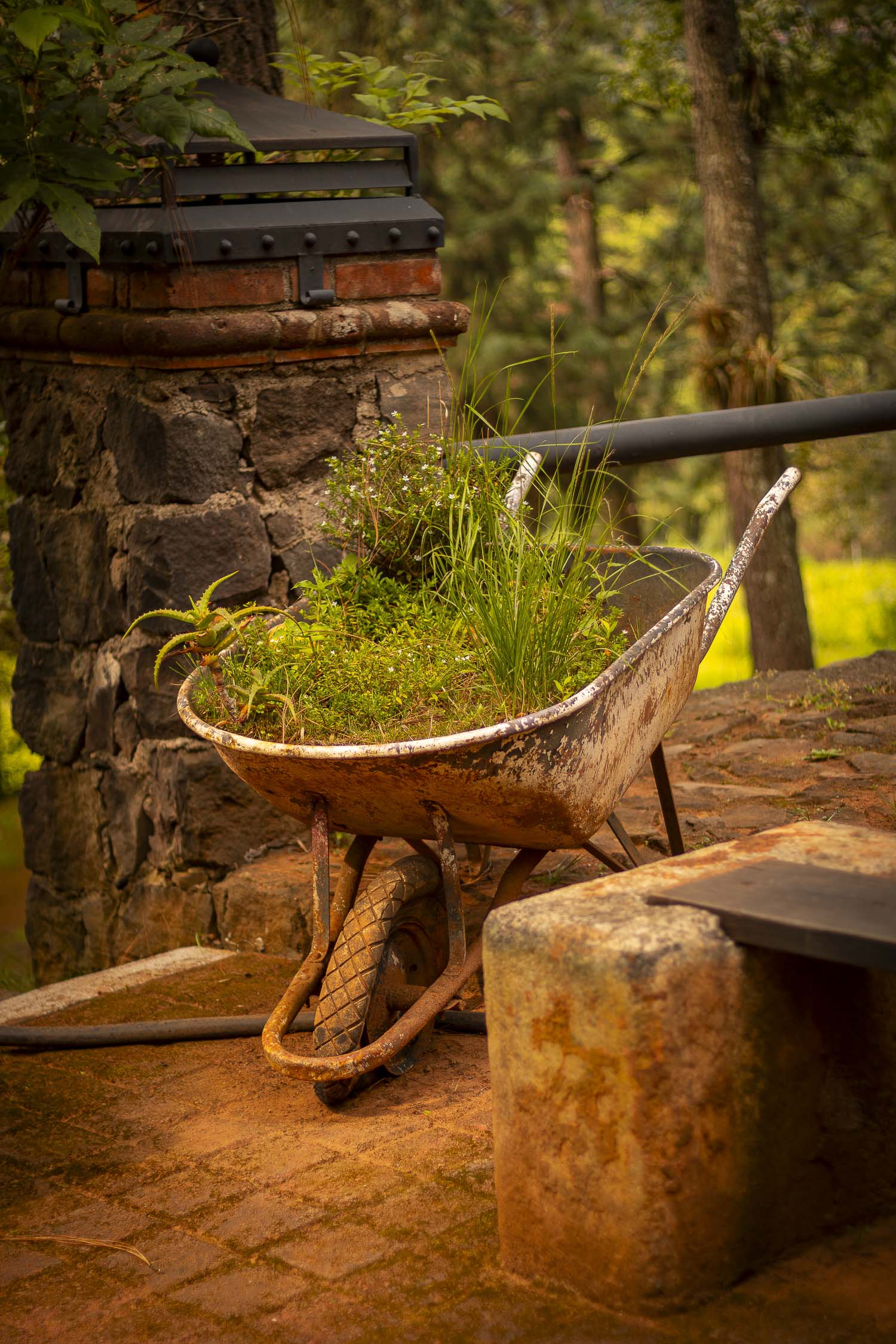 Turinjandi Sesión 1