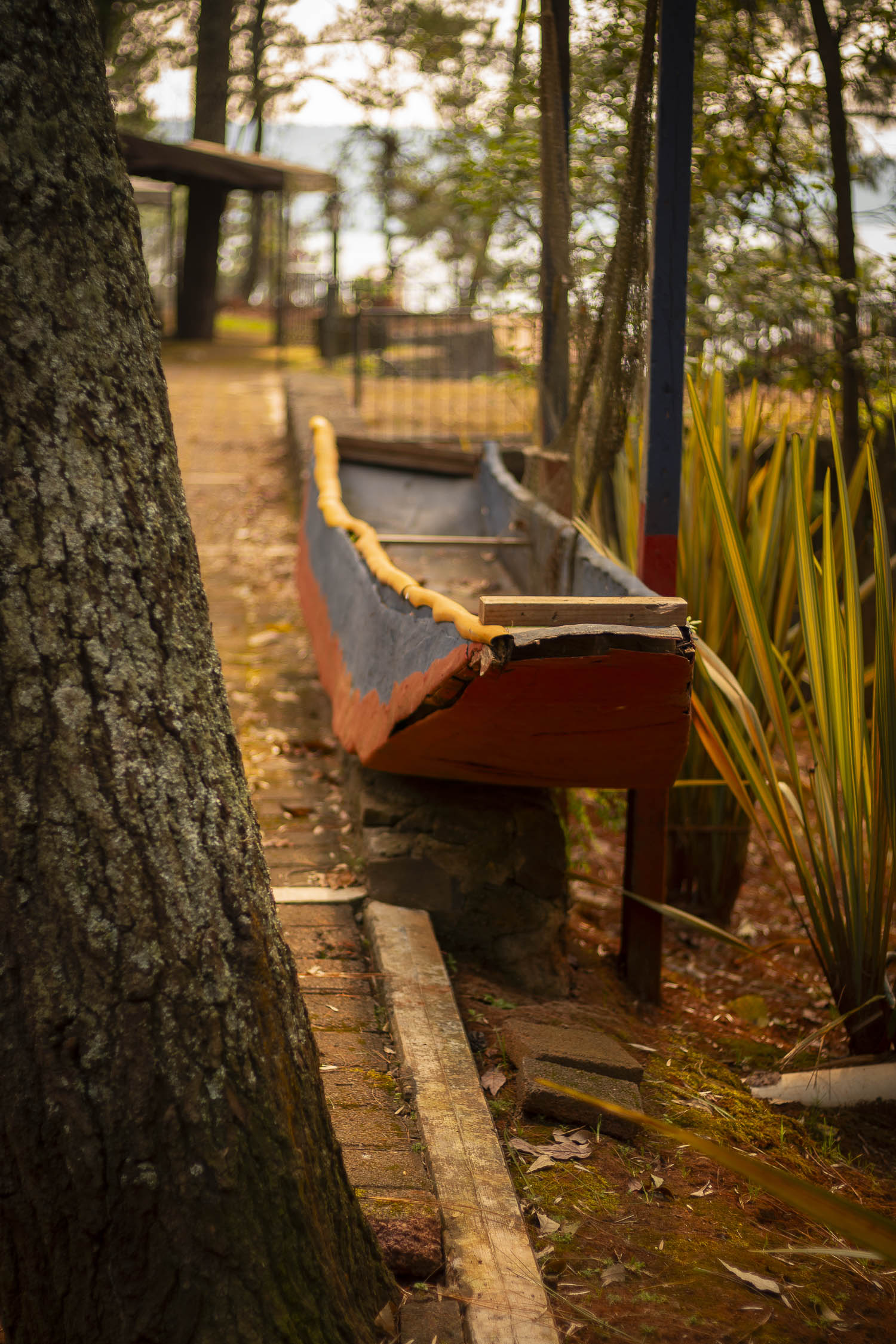 Turinjandi Sesión 1