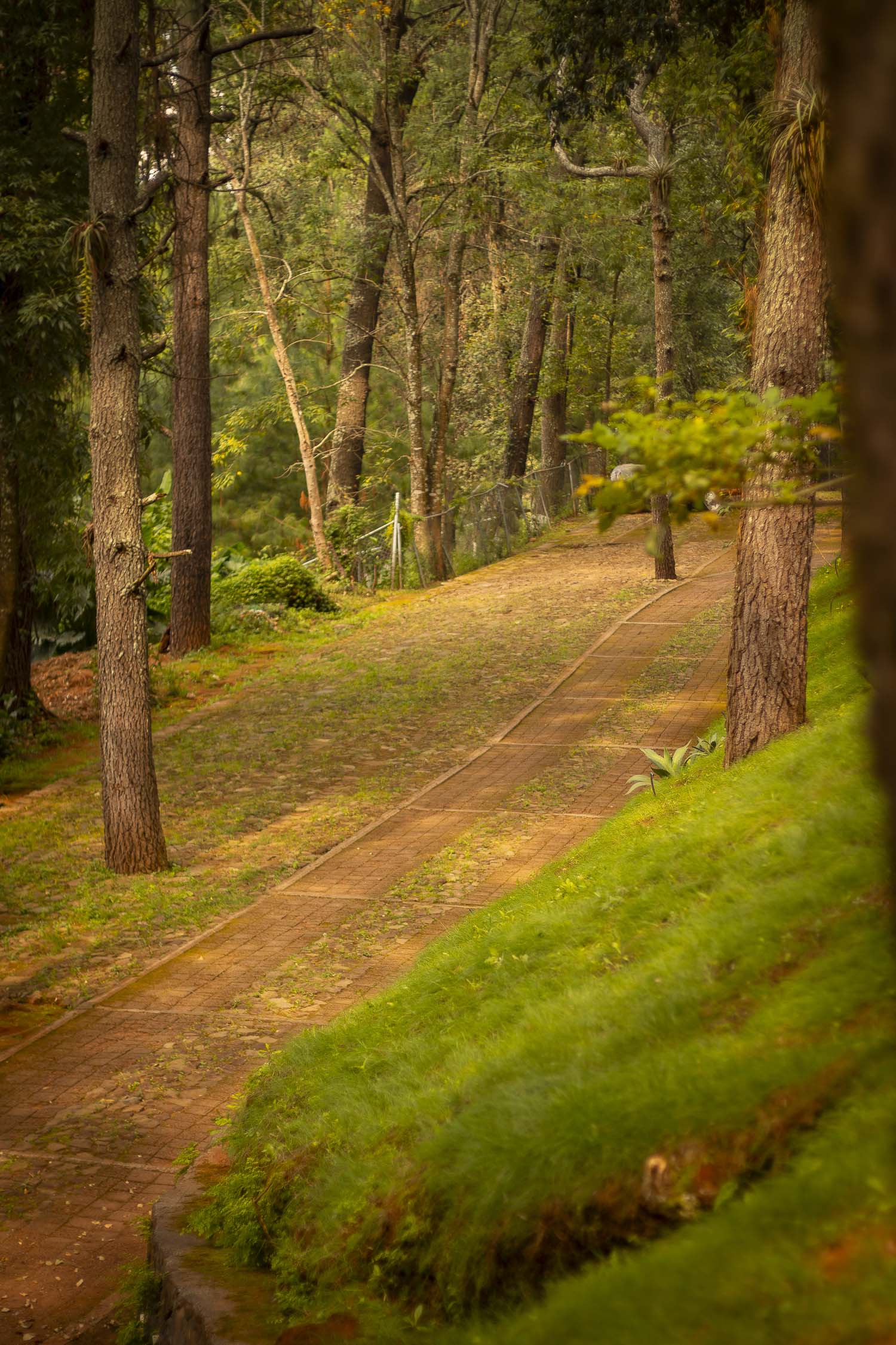 Turinjandi Sesión 1