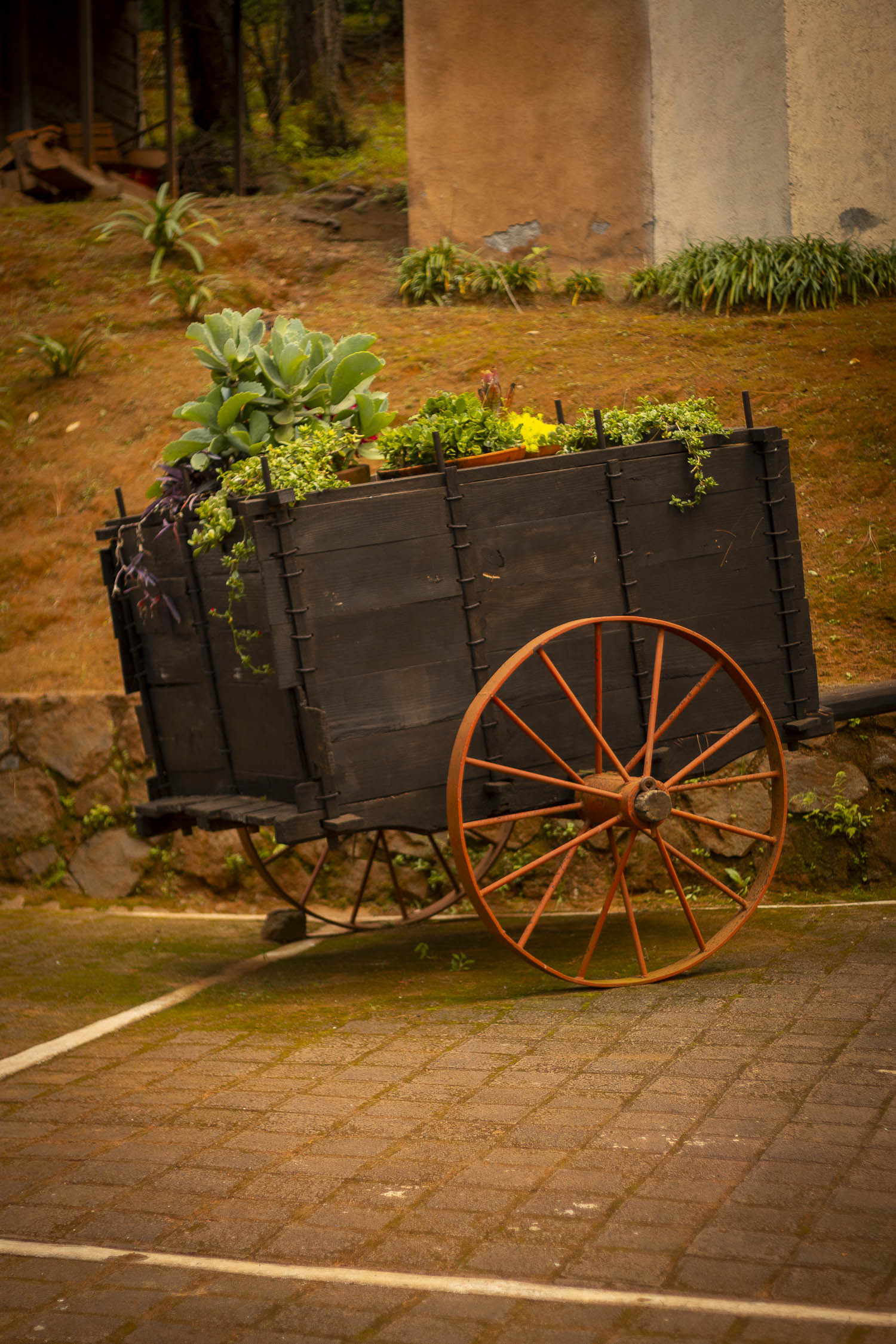 Turinjandi Sesión 1